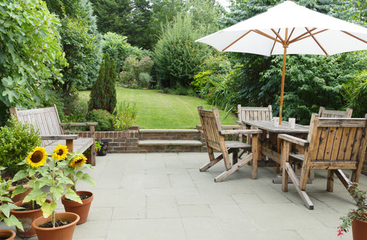 6 Brilliant Ways To Keep Your Paving Pest Free